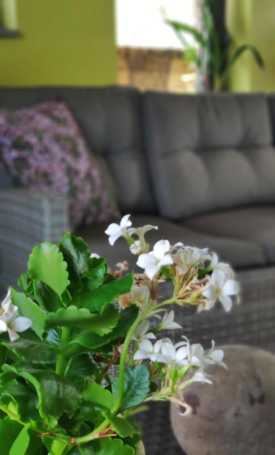B&B Aquavert Tournai Zewnętrze zdjęcie